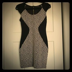 Express Cheetah Print Dress